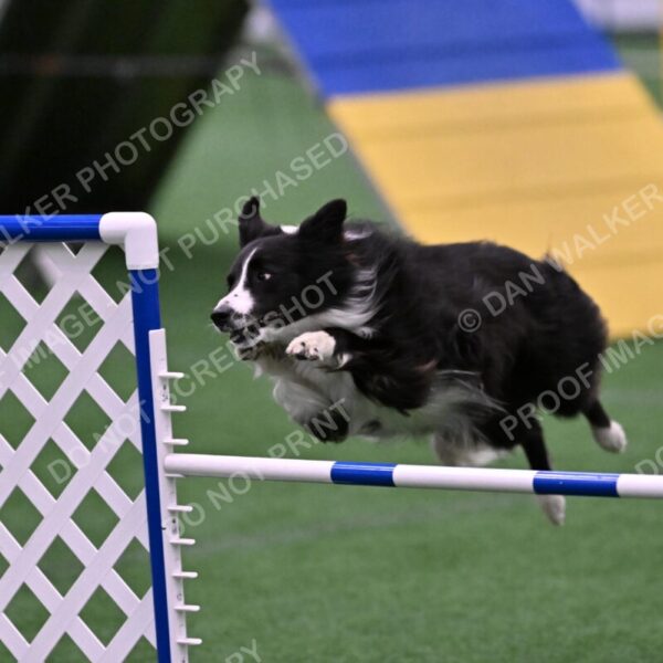 Skylar-Nanette-Jarrett-03071