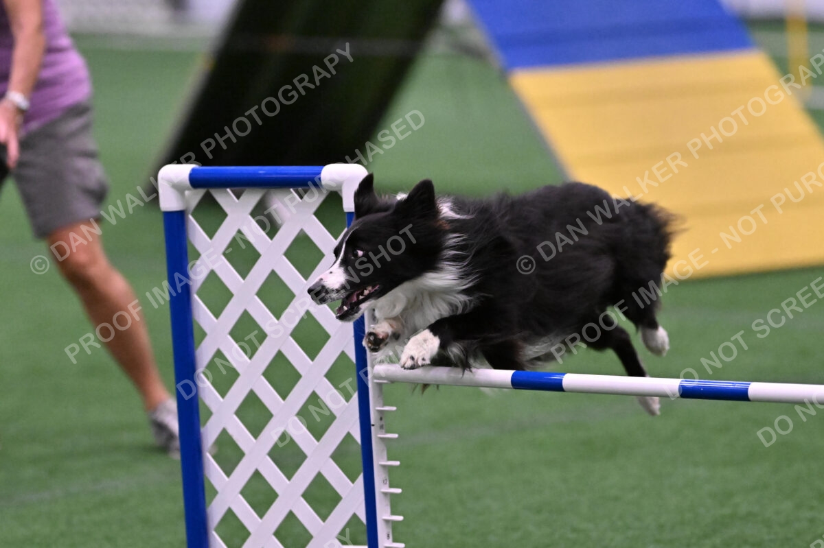 Skylar-Nanette-Jarrett-03072