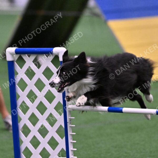 Skylar-Nanette-Jarrett-03072