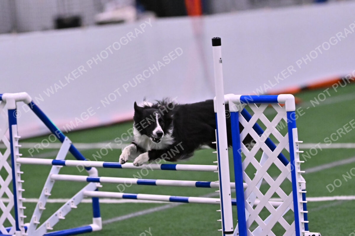 Skylar-Nanette-Jarrett-03077