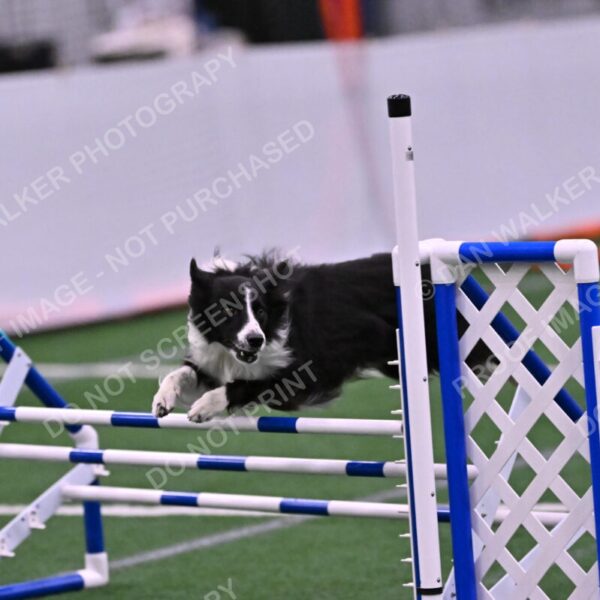 Skylar-Nanette-Jarrett-03077