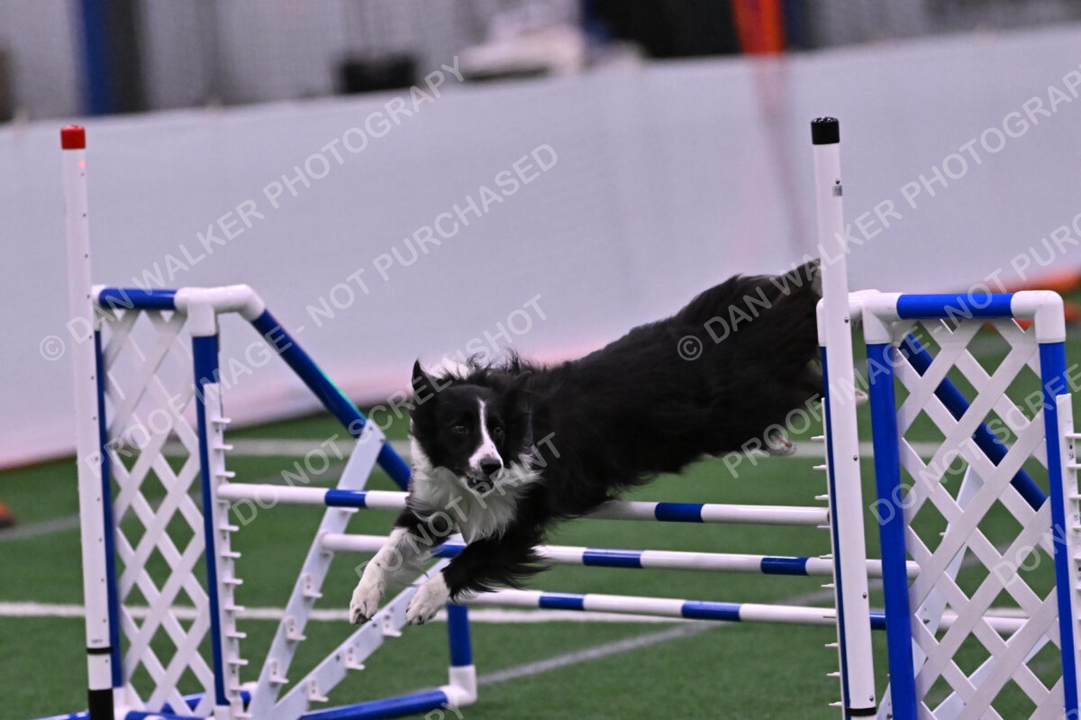 Skylar-Nanette-Jarrett-03078