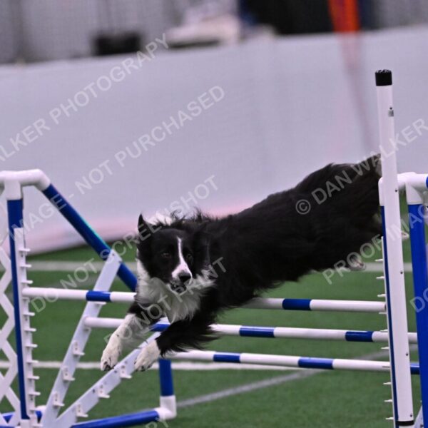 Skylar-Nanette-Jarrett-03078