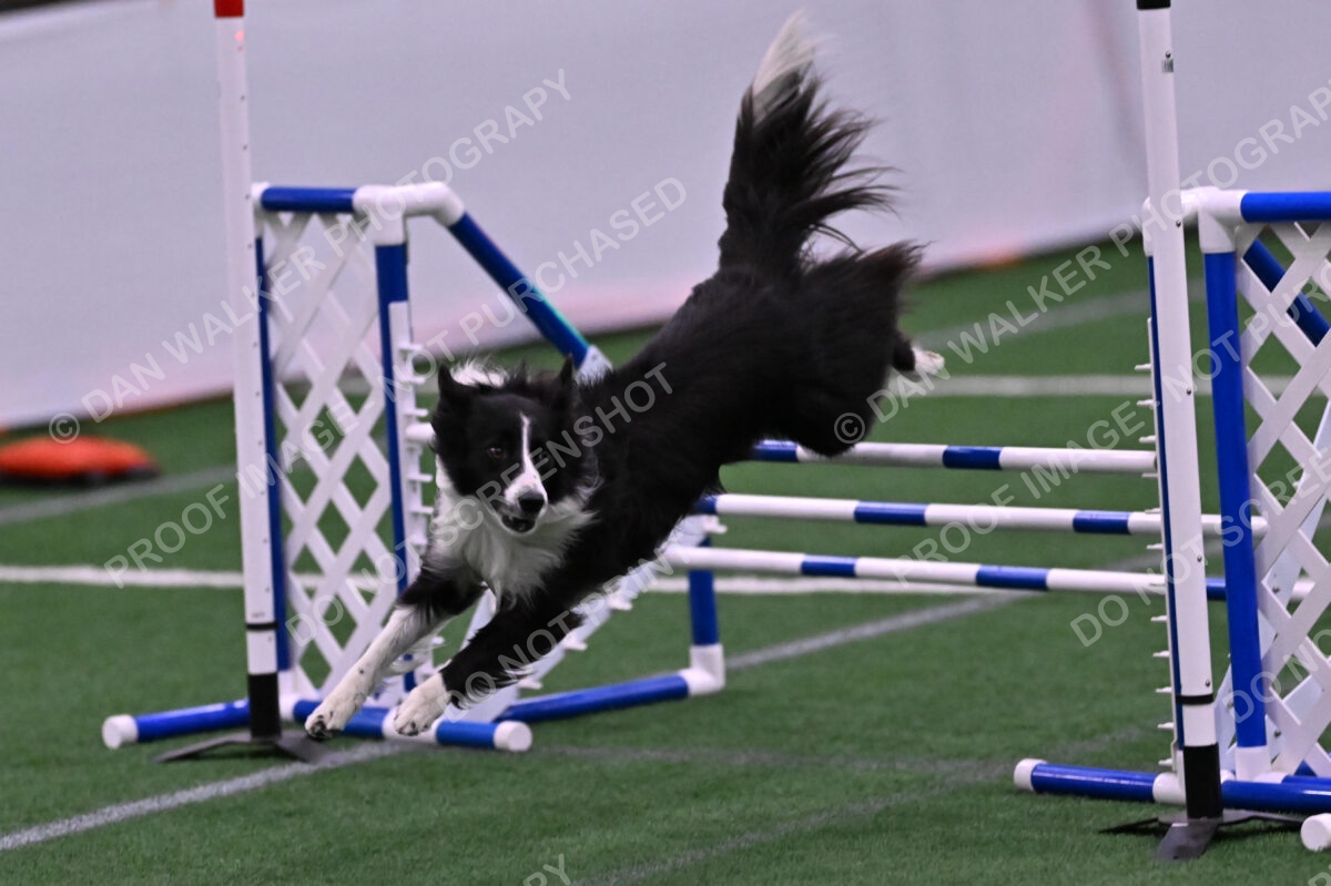 Skylar-Nanette-Jarrett-03079