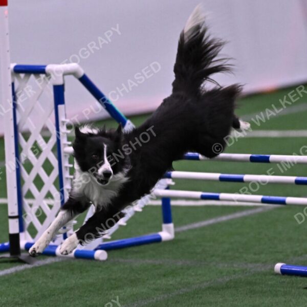 Skylar-Nanette-Jarrett-03079