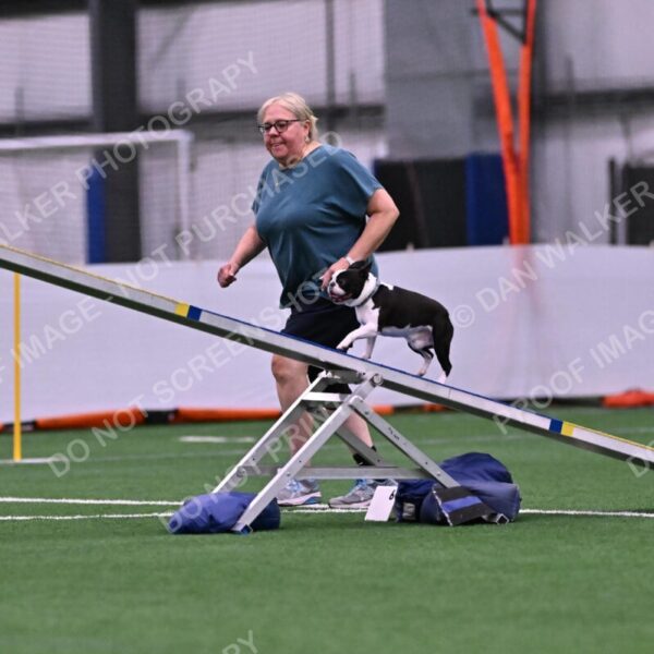 Styx-Sandra-Novicky-06539