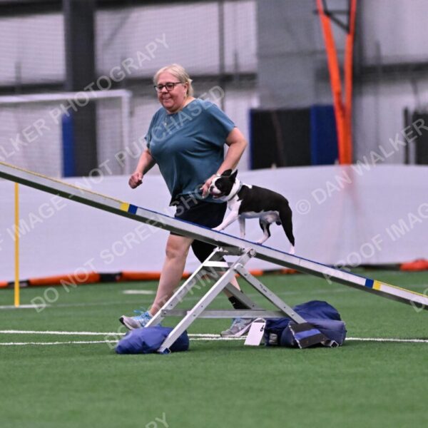 Styx-Sandra-Novicky-06540