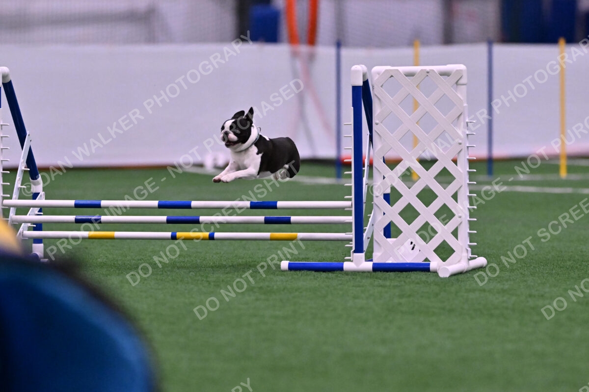 Styx-Sandra-Novicky-06545