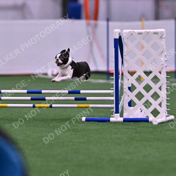 Styx-Sandra-Novicky-06545