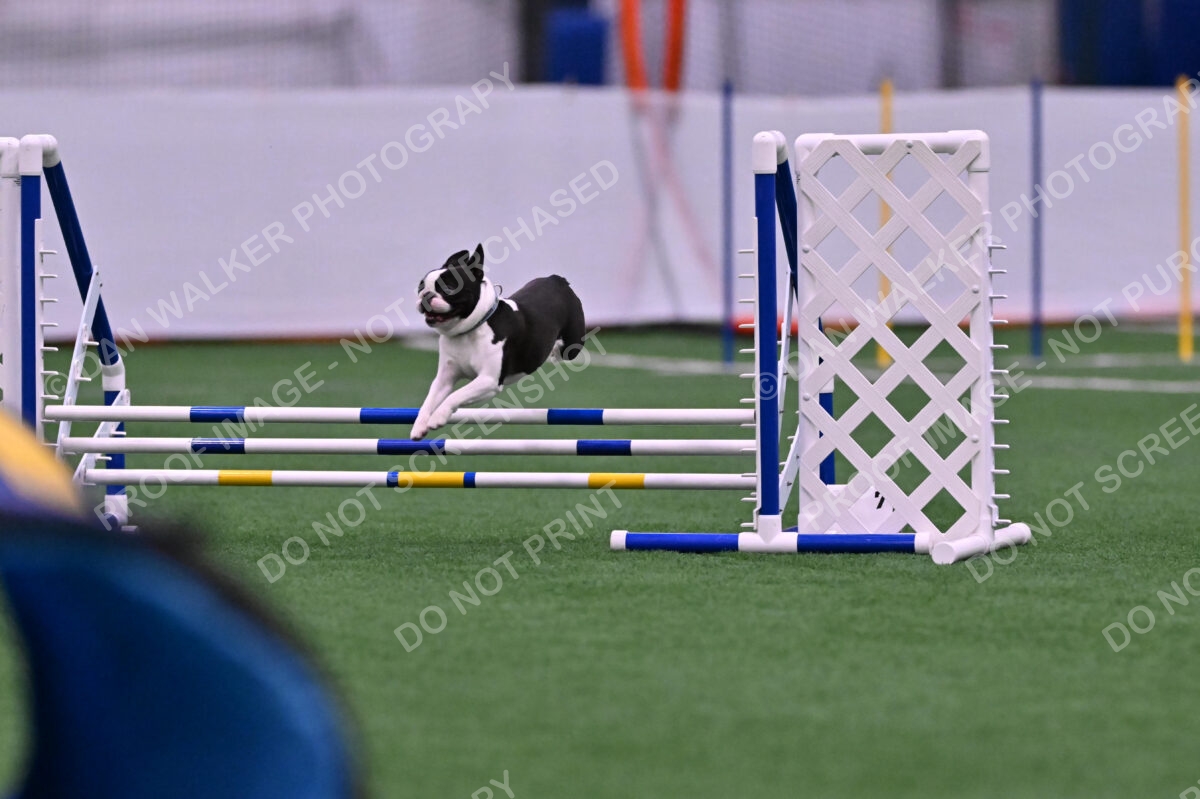 Styx-Sandra-Novicky-06546