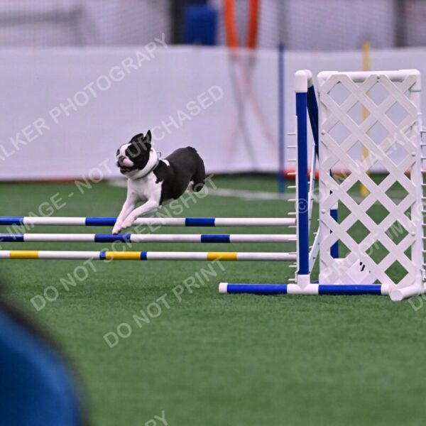 Styx-Sandra-Novicky-06546