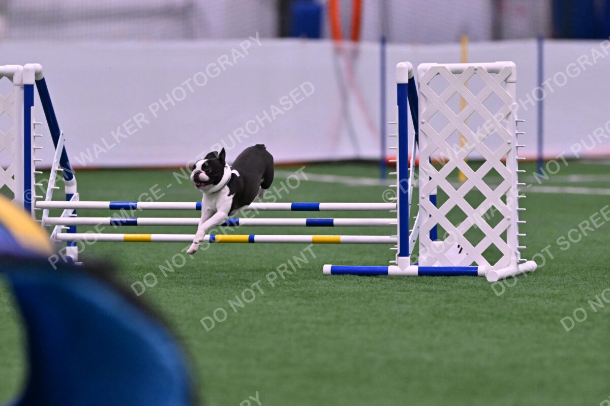 Styx-Sandra-Novicky-06547