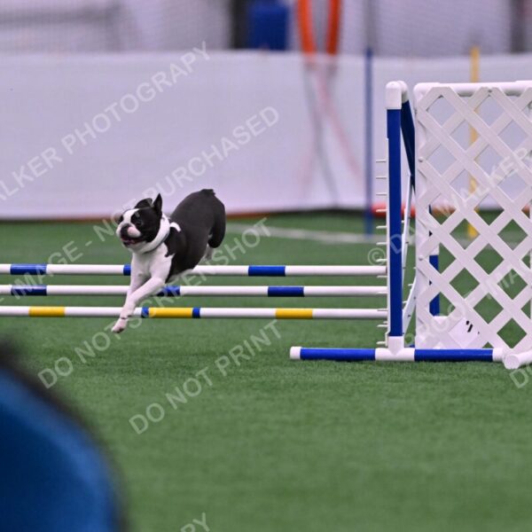 Styx-Sandra-Novicky-06547