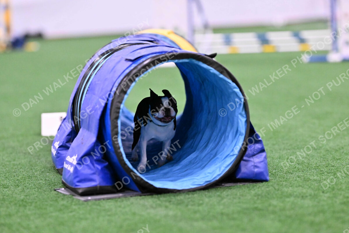 Styx-Sandra-Novicky-06554