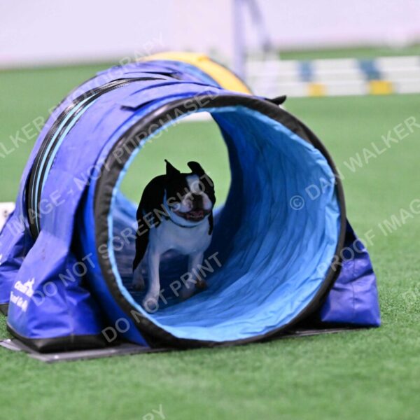 Styx-Sandra-Novicky-06554