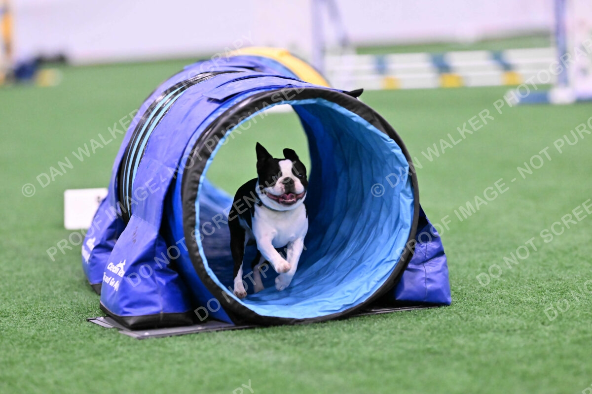 Styx-Sandra-Novicky-06555