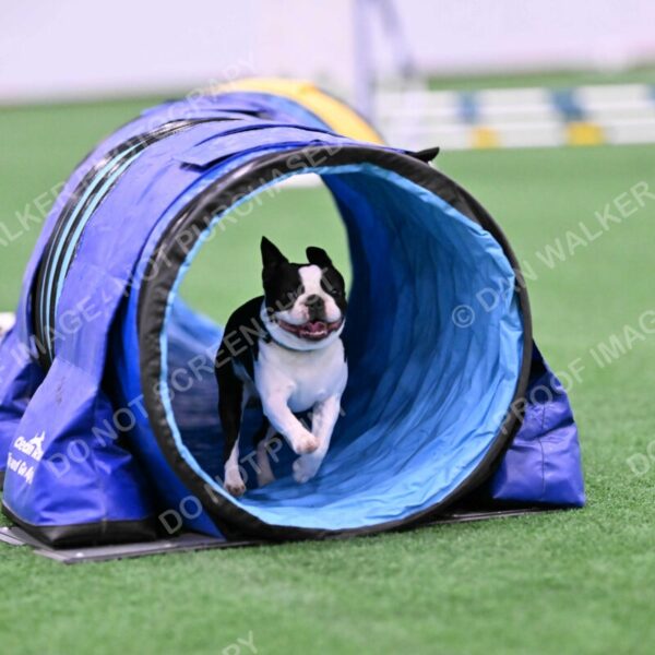 Styx-Sandra-Novicky-06555