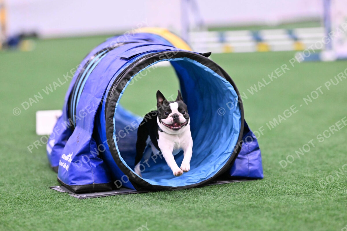 Styx-Sandra-Novicky-06556