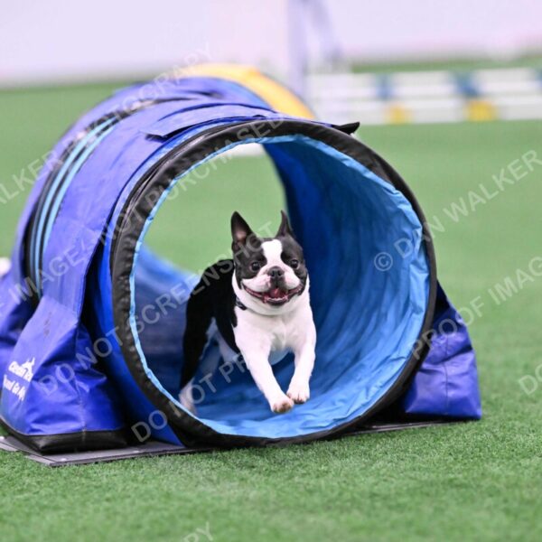 Styx-Sandra-Novicky-06556