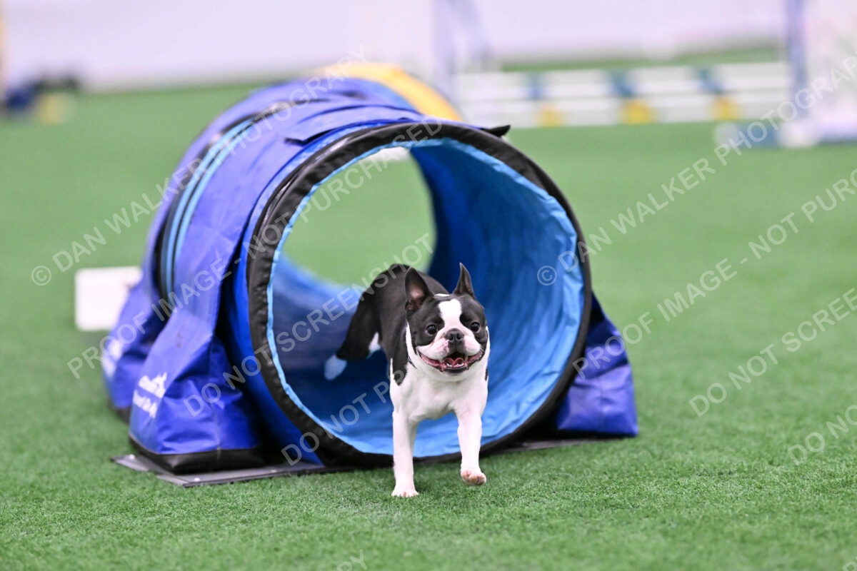 Styx-Sandra-Novicky-06557