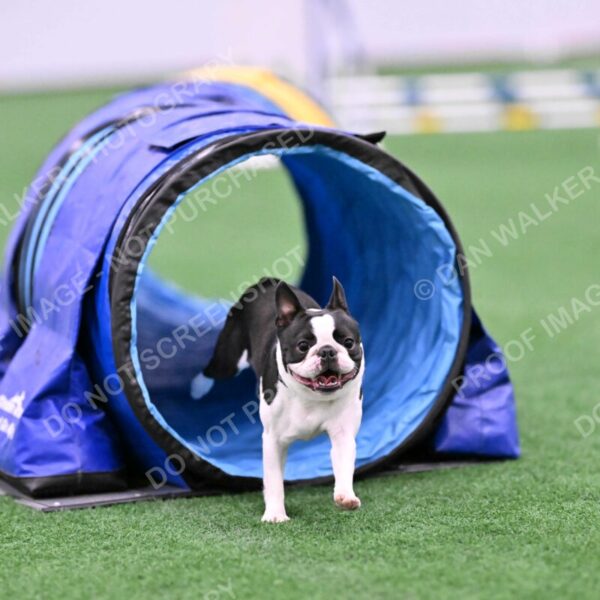 Styx-Sandra-Novicky-06557