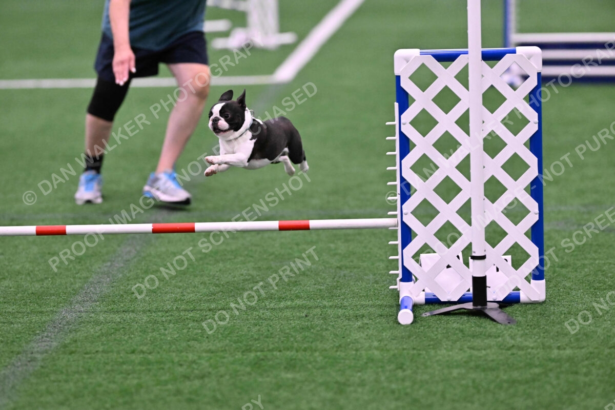 Styx-Sandra-Novicky-06560