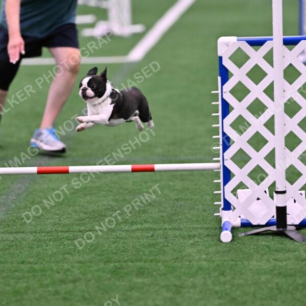 Styx-Sandra-Novicky-06560