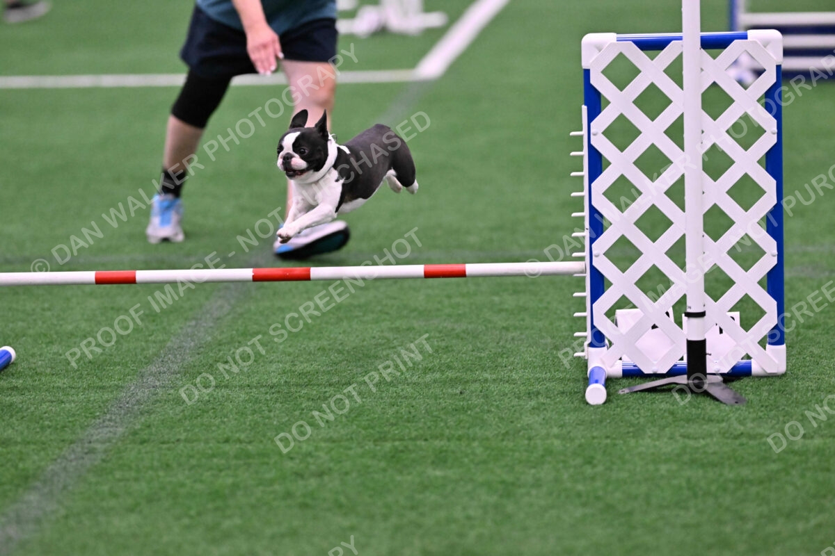 Styx-Sandra-Novicky-06561