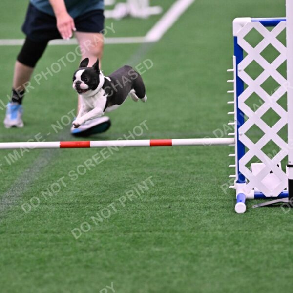 Styx-Sandra-Novicky-06561