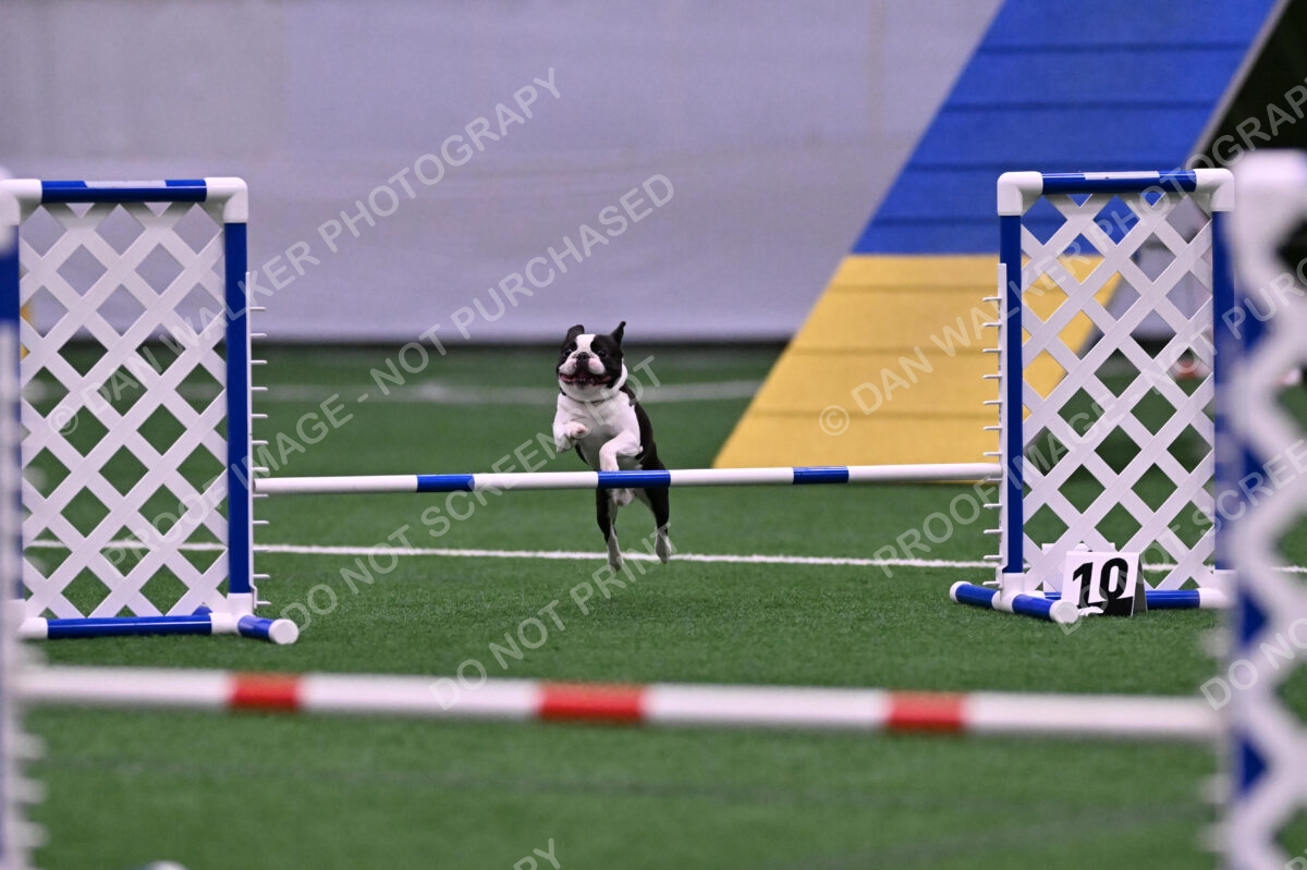 Styx-Sandra-Novicky-06563