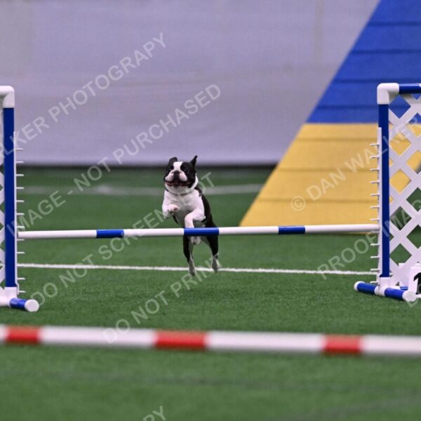 Styx-Sandra-Novicky-06563