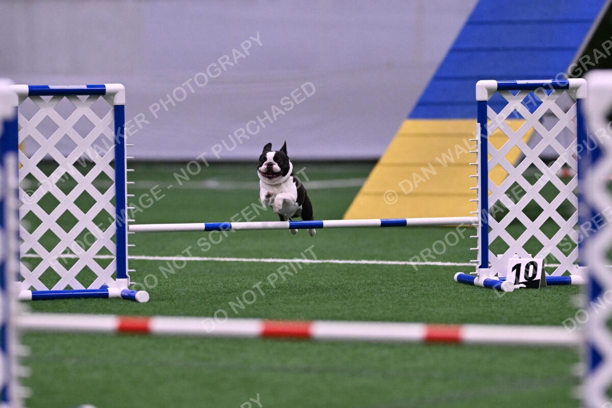 Styx-Sandra-Novicky-06564