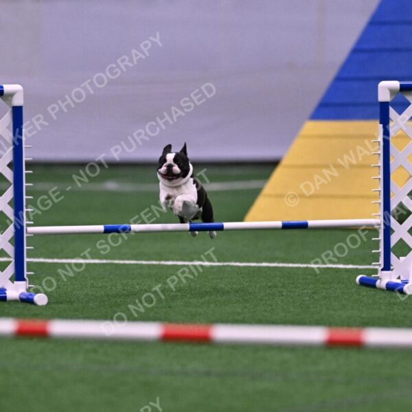 Styx-Sandra-Novicky-06564