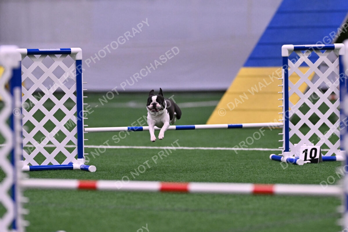 Styx-Sandra-Novicky-06565