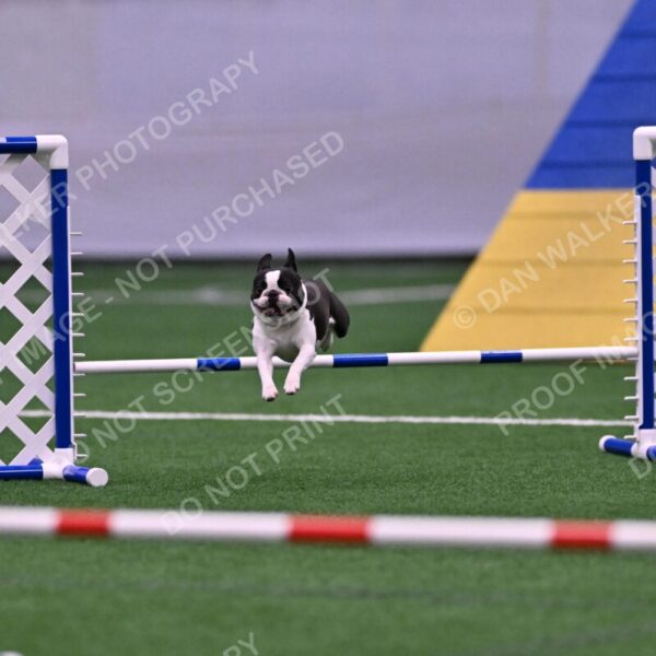 Styx-Sandra-Novicky-06565