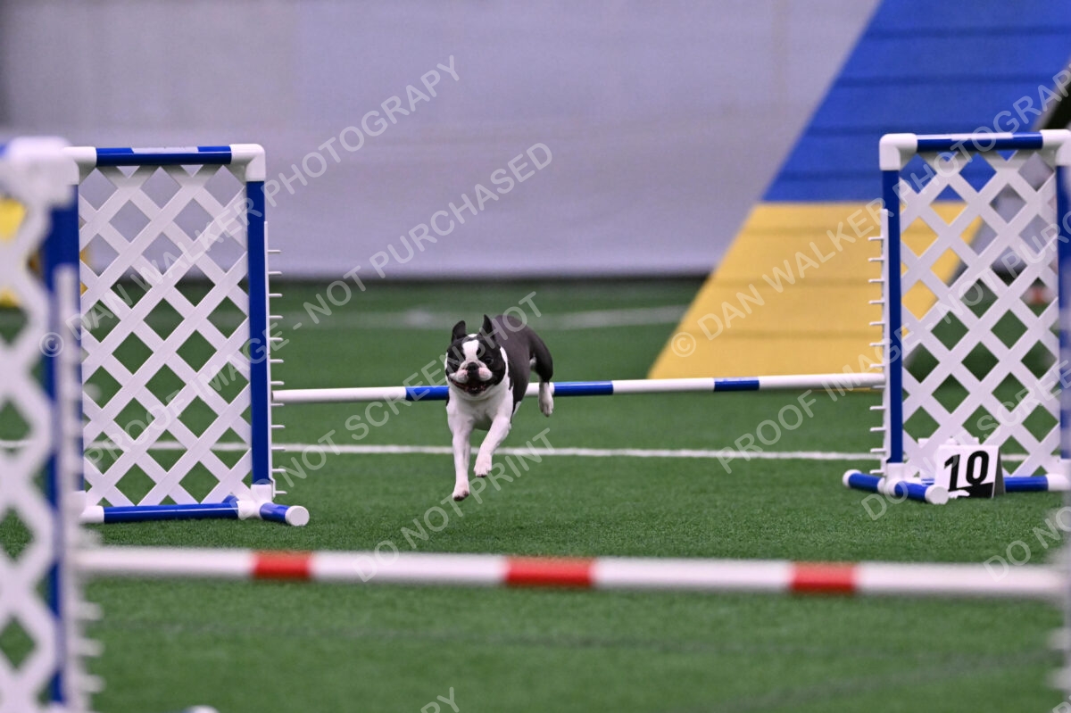 Styx-Sandra-Novicky-06566