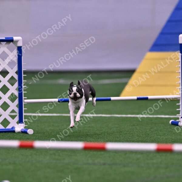 Styx-Sandra-Novicky-06566