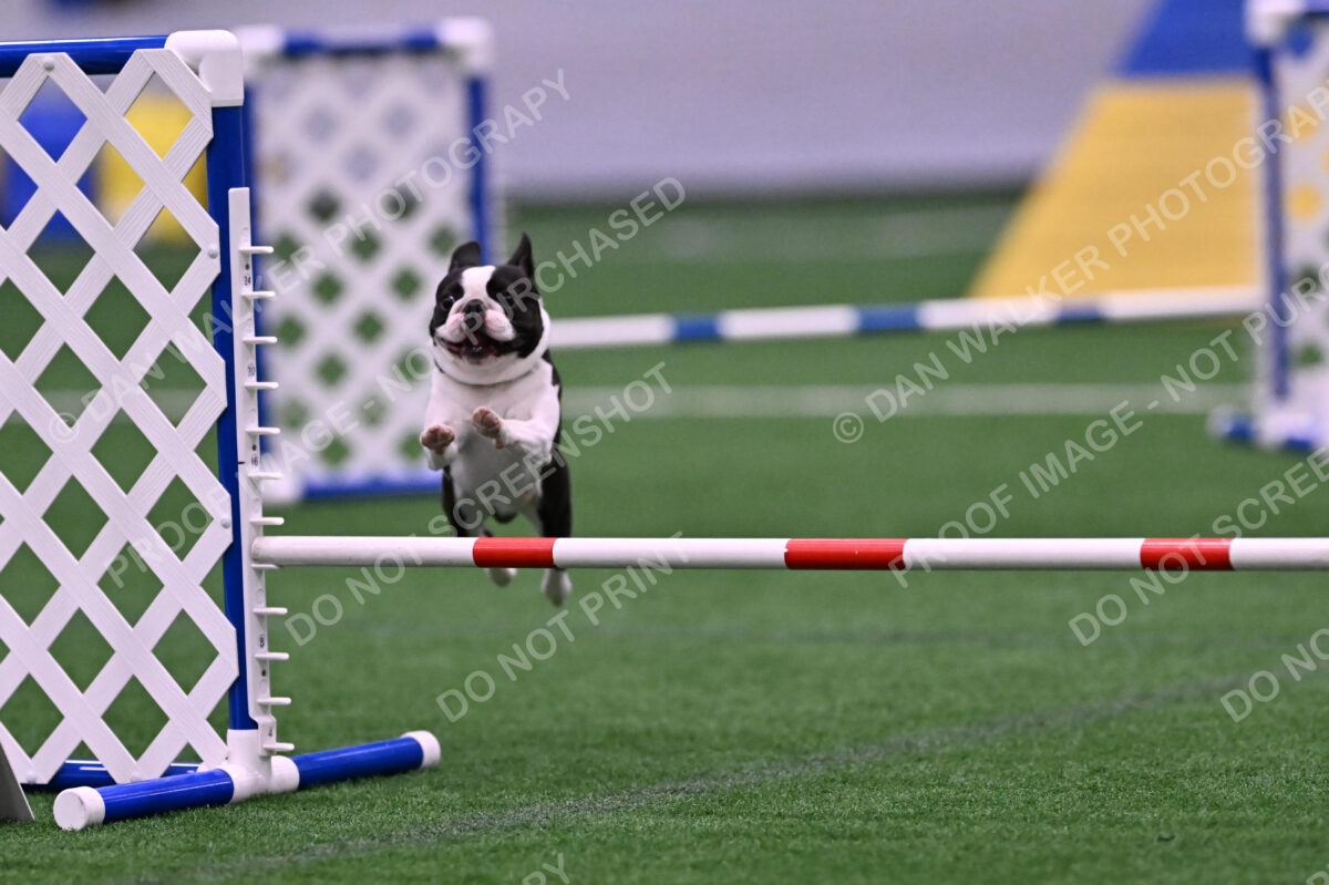 Styx-Sandra-Novicky-06570