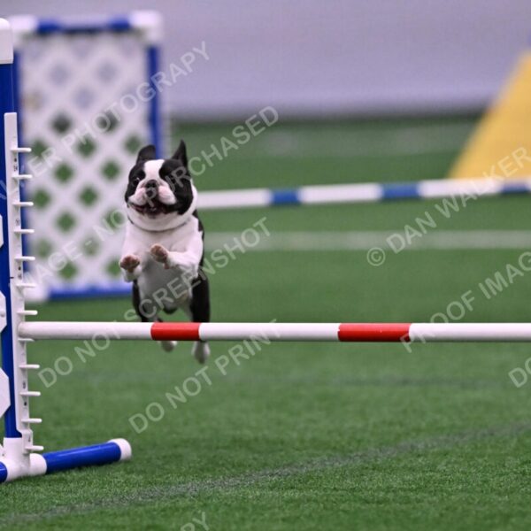 Styx-Sandra-Novicky-06570