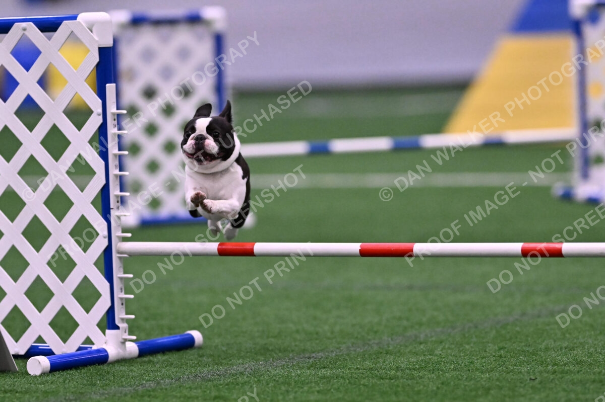 Styx-Sandra-Novicky-06571