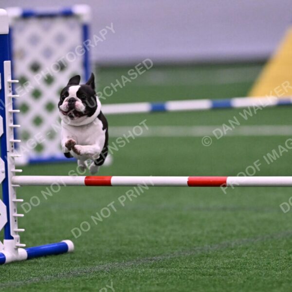 Styx-Sandra-Novicky-06571