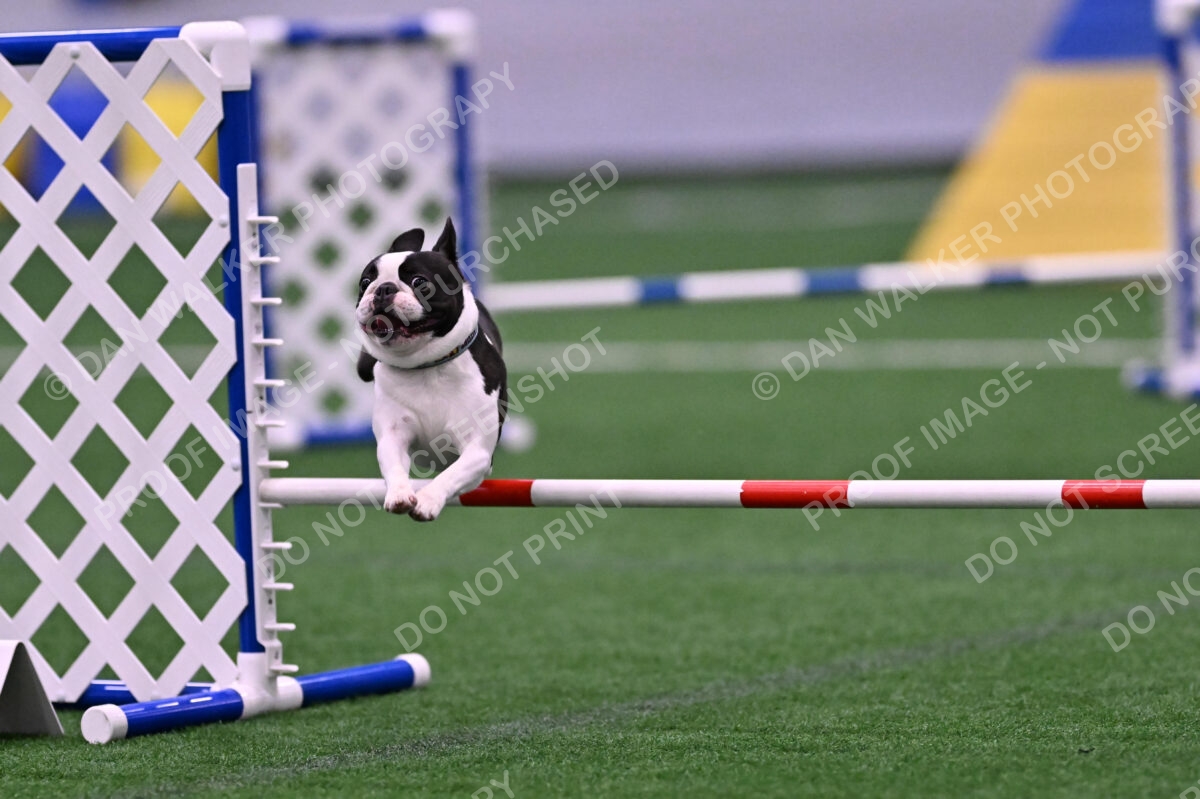 Styx-Sandra-Novicky-06572