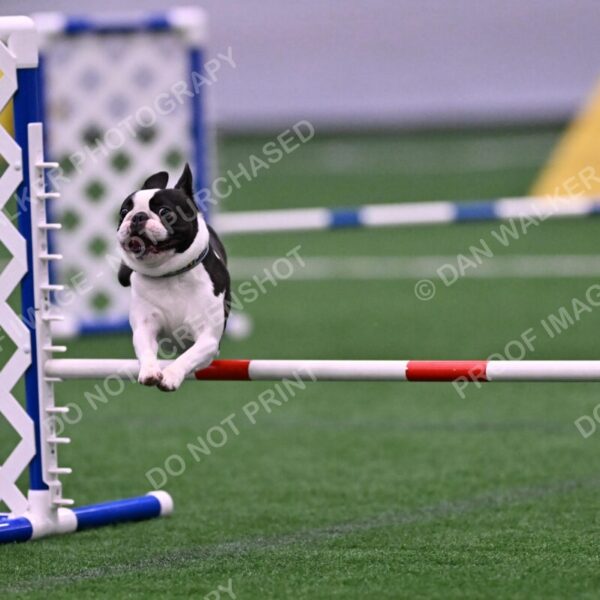 Styx-Sandra-Novicky-06572