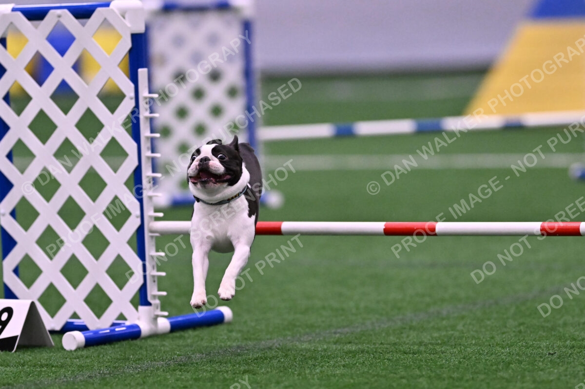 Styx-Sandra-Novicky-06573