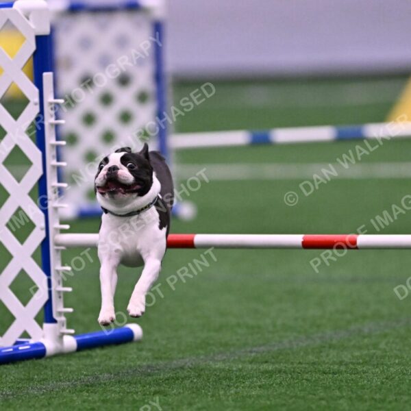 Styx-Sandra-Novicky-06573