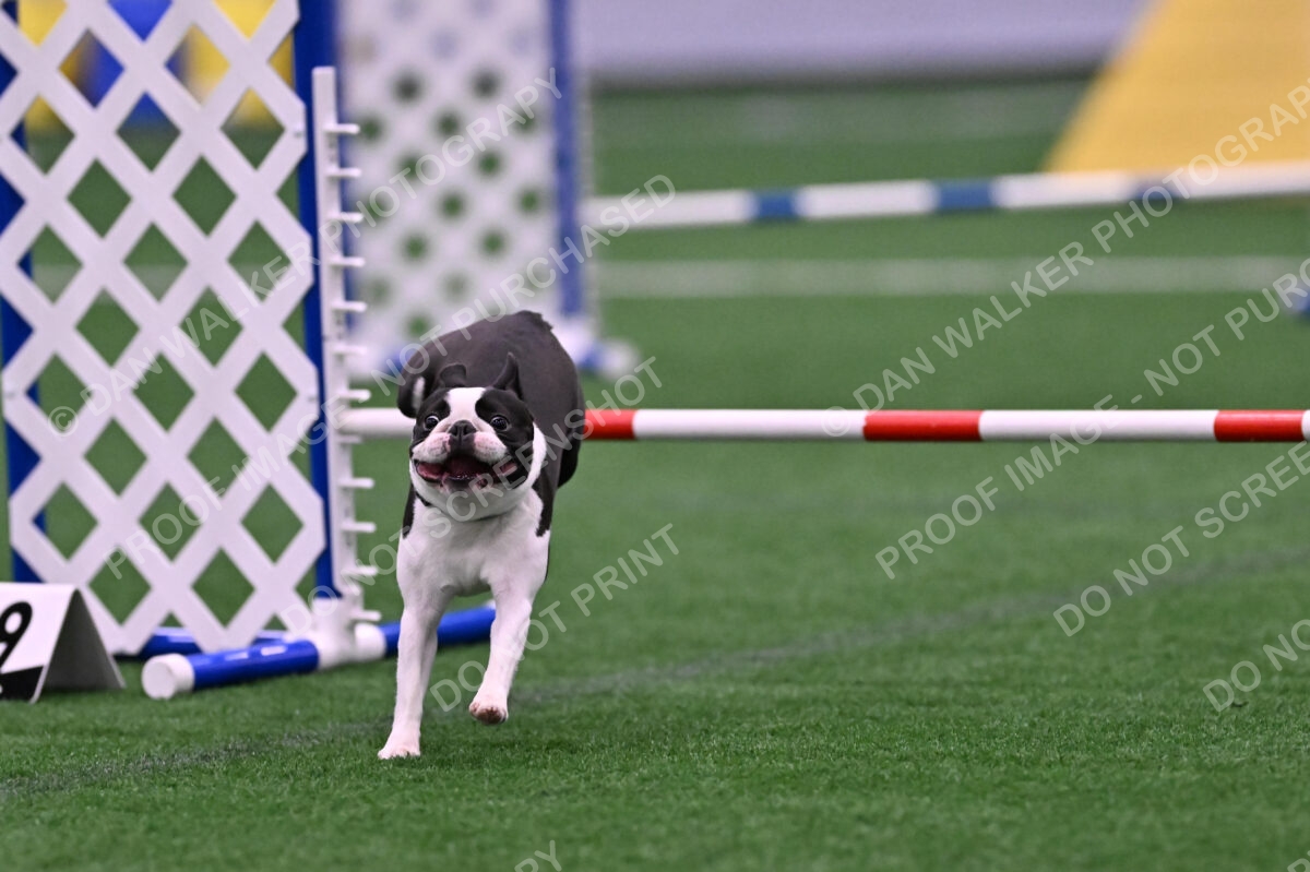 Styx-Sandra-Novicky-06574