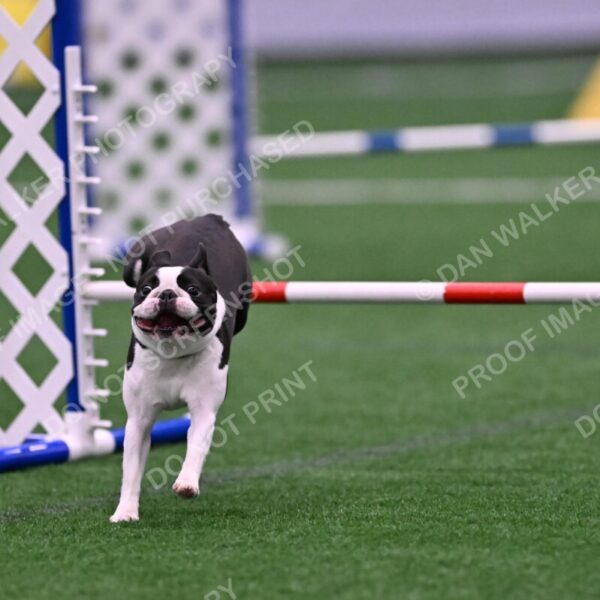 Styx-Sandra-Novicky-06574