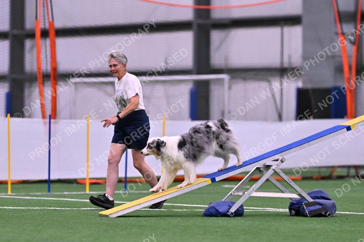 Sunny-Claudia-Brydon-10543