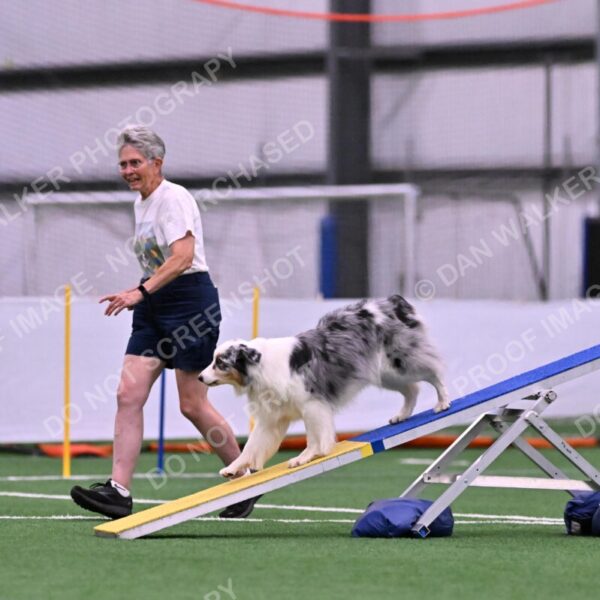 Sunny-Claudia-Brydon-10543