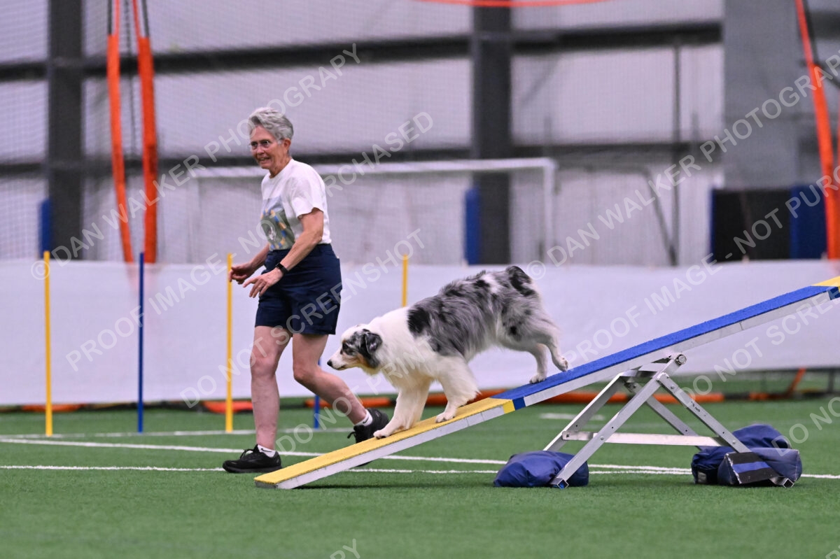 Sunny-Claudia-Brydon-10544